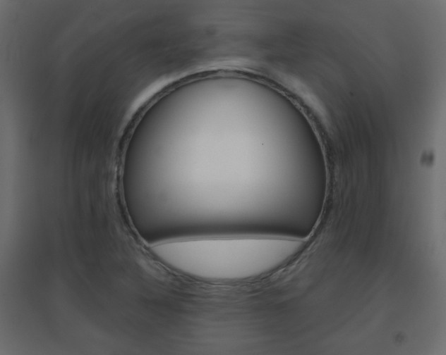 X0000096631316200802050924