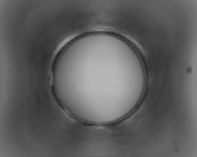 X0000096631317200802050924