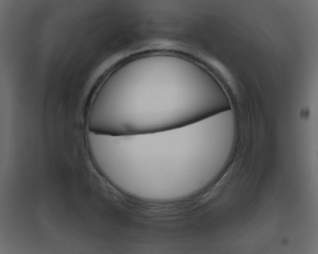 X0000096631318200802050924