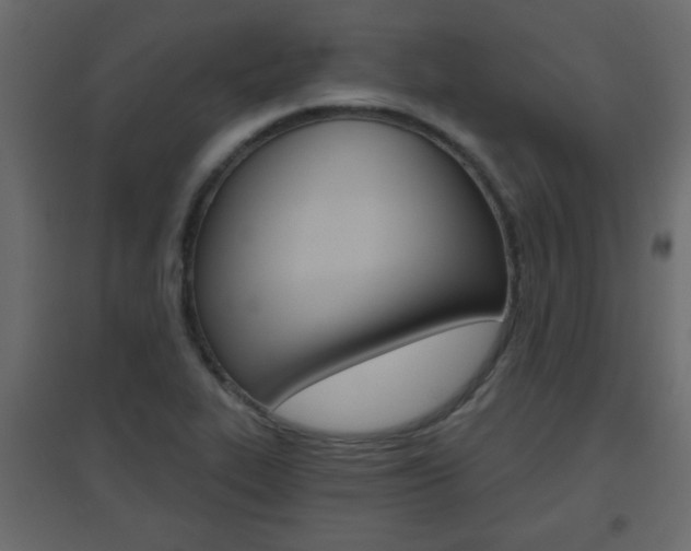 X0000096631319200802050924