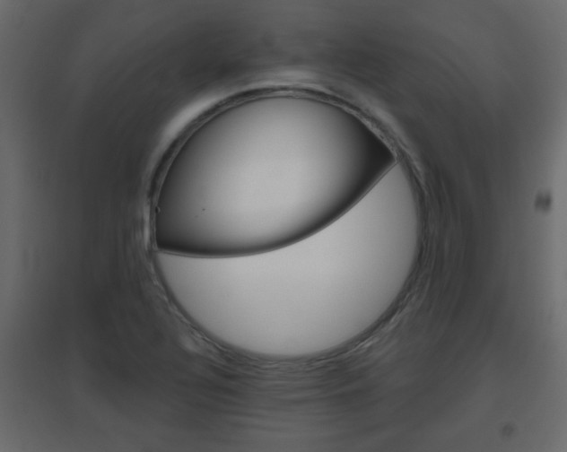 X0000096631320200802050924