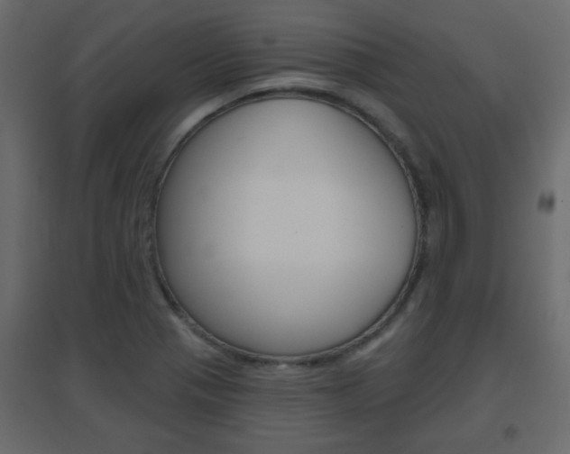 X0000096631321200802050924