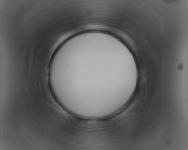 X0000096631322200802050924