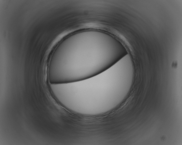 X0000096631323200802050924