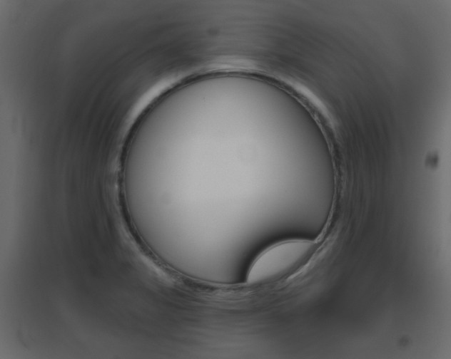 X0000096631325200802050924
