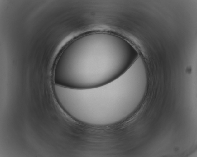 X0000096631326200802050924