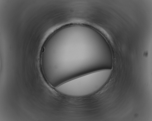 X0000096631327200802050924
