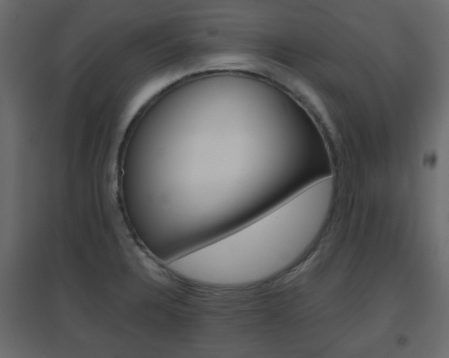 X0000096631328200802050924