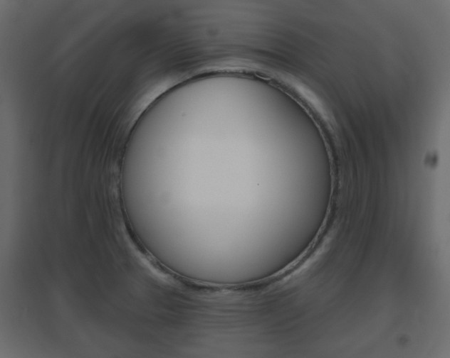 X0000096631329200802050924