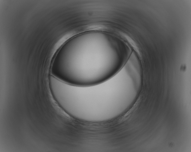 X0000096631330200802050924