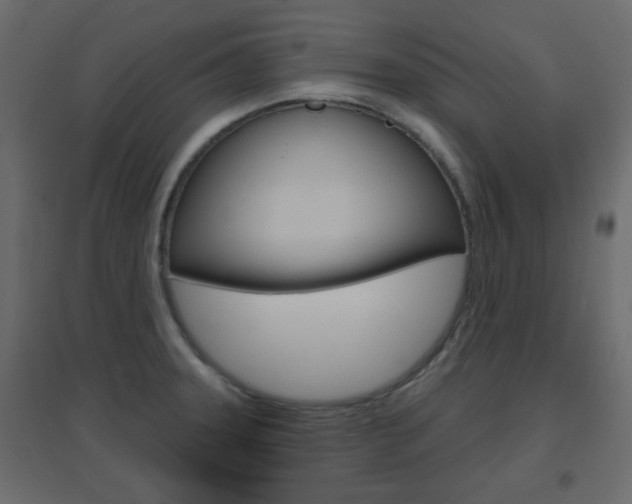 X0000096631331200802050924