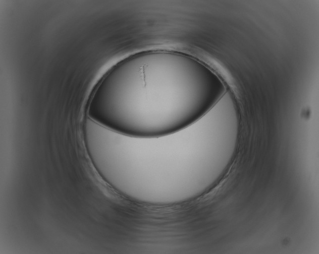 X0000096631332200802050924