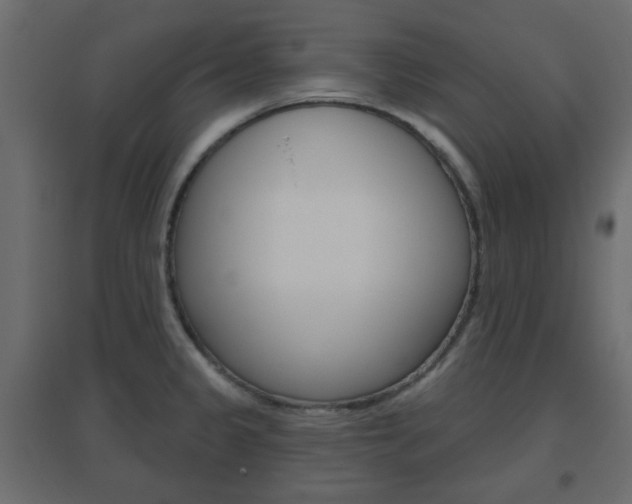 X0000096631333200802050924
