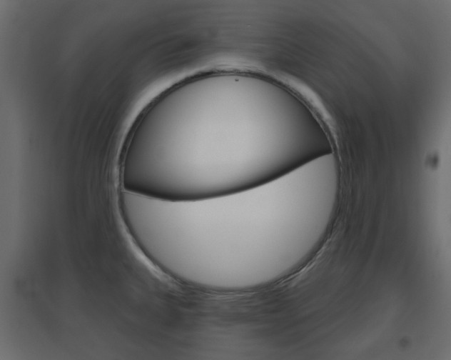 X0000096631335200802050924
