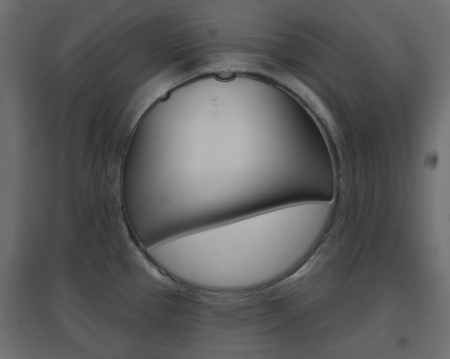 X0000096631337200802050924
