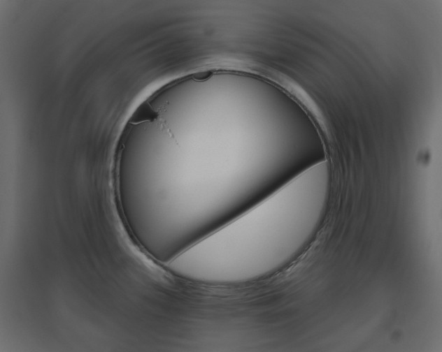 X0000096631339200802050924