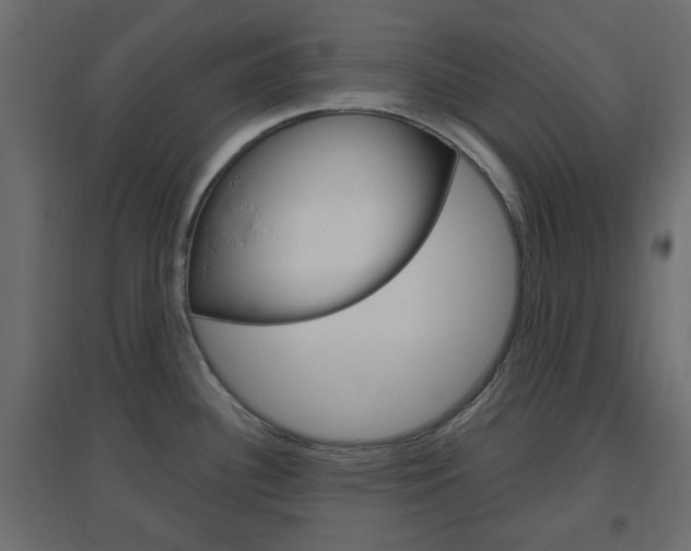 X0000096631340200802050924