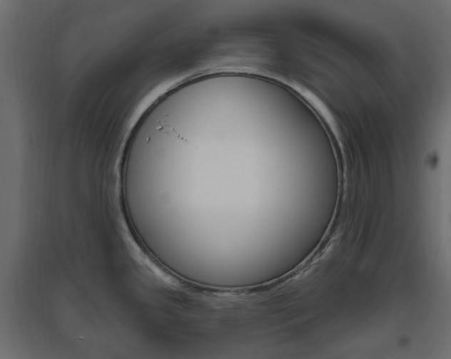 X0000096631341200802050924