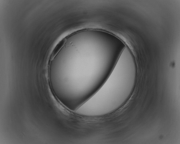 X0000096631342200802050924