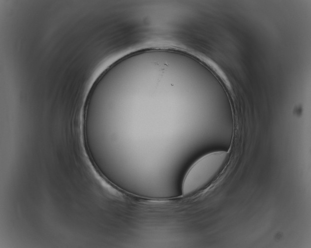 X0000096631343200802050924