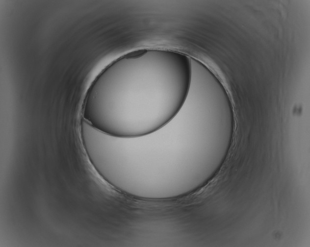 X0000096631344200802050924