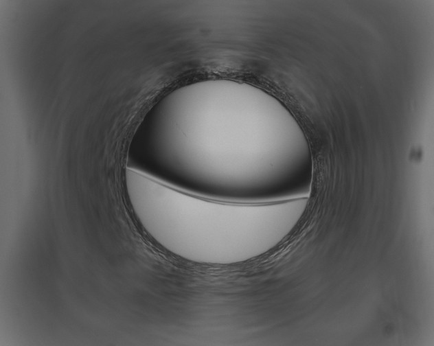 X0000096631345200802050924