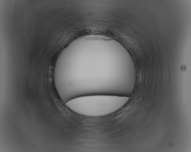 X0000096631346200802050924
