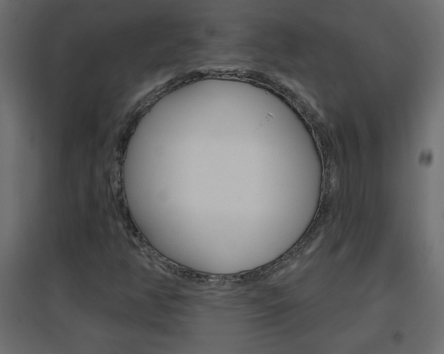X0000096631350200802050924