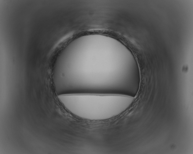 X0000096631351200802050924