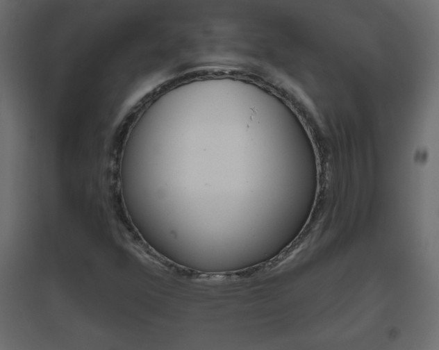 X0000096631352200802050924