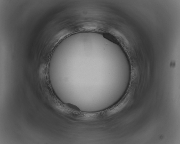 X0000096631353200802050924