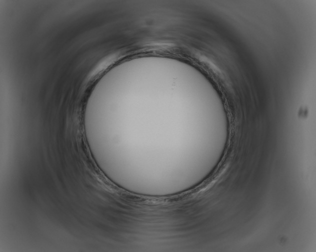 X0000096631354200802050924