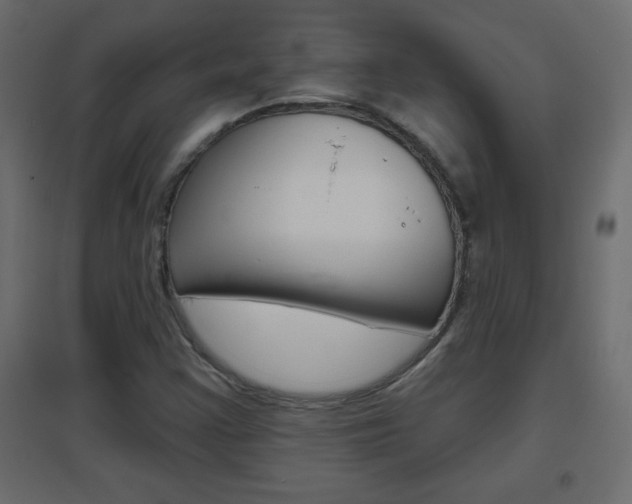 X0000096631355200802050924