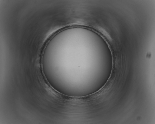 X0000096631356200802050924