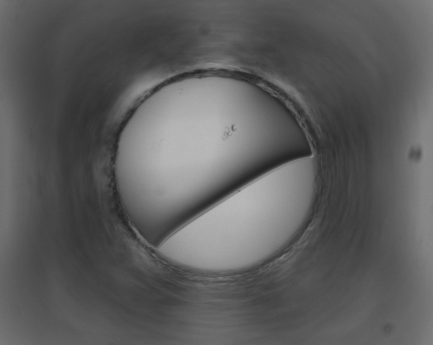 X0000096631359200802050924