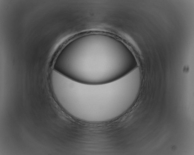 X0000096631360200802050924