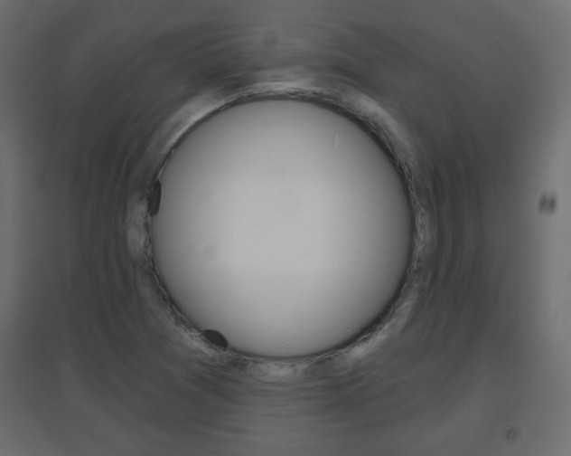 X0000096631361200802050924