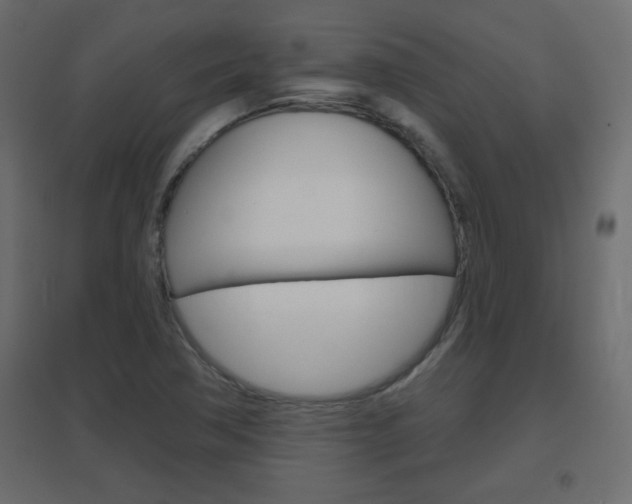 X0000096631362200802050924