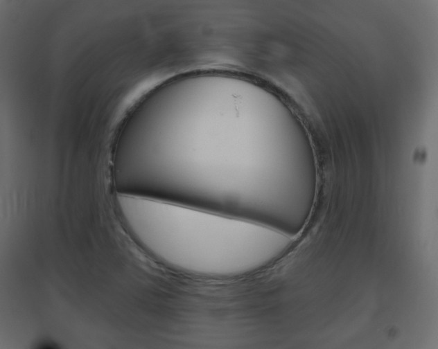 X0000096631363200802050924
