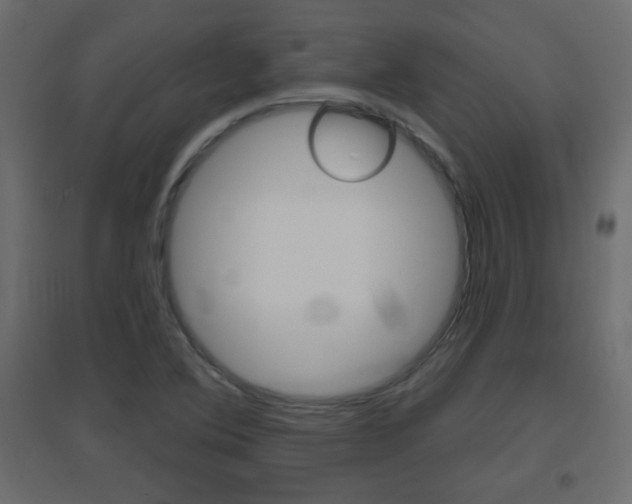 X0000096631364200802050924