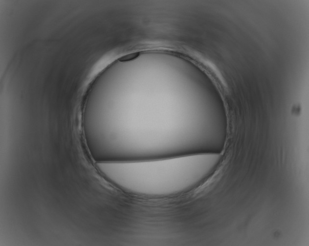X0000096631365200802050924