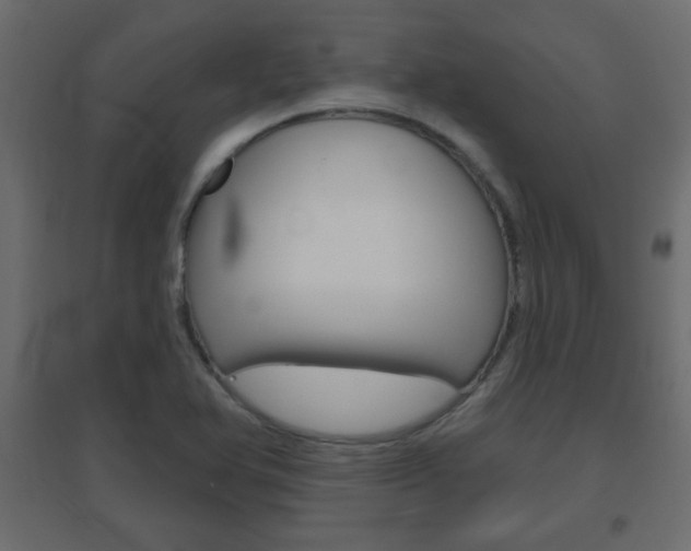 X0000096631366200802050924