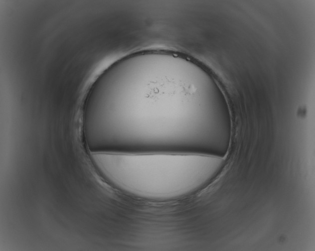 X0000096631367200802050923