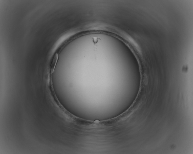 X0000096631368200802050923