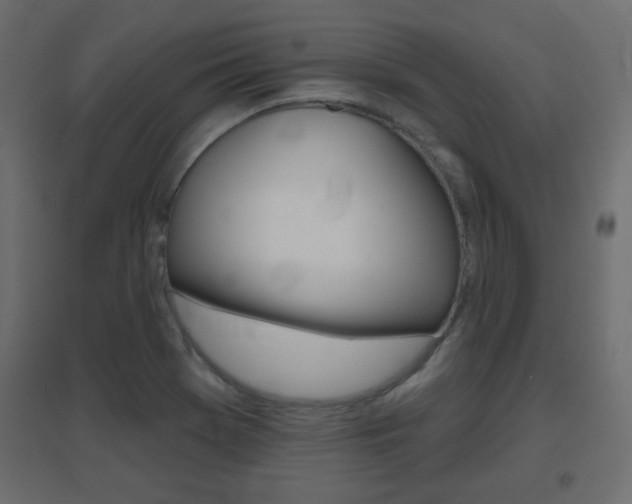 X0000096631369200802050923