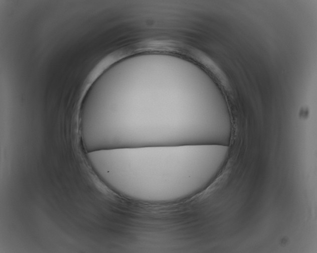 X0000096631370200802050923