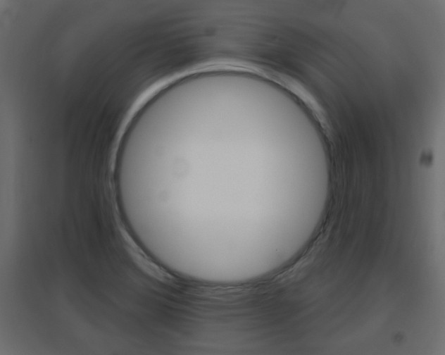 X0000096631372200802050923