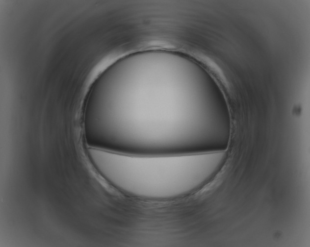 X0000096631373200802050923