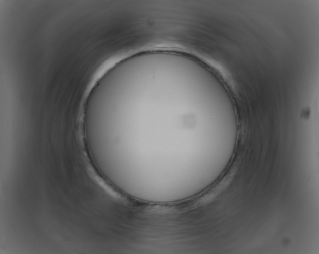 X0000096631374200802050923