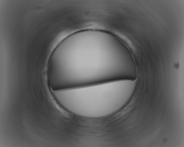 X0000096631375200802050923